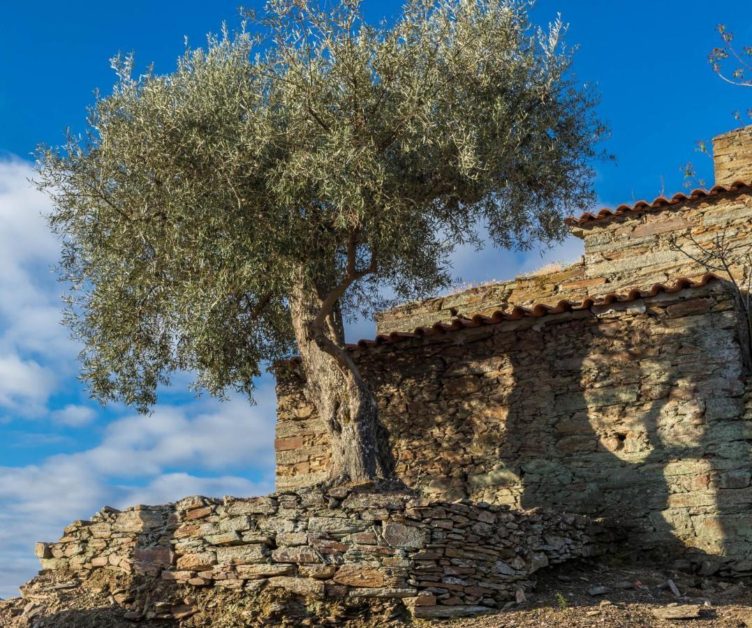 Dois Lagares House Bed & Breakfast Pinhão Exterior foto